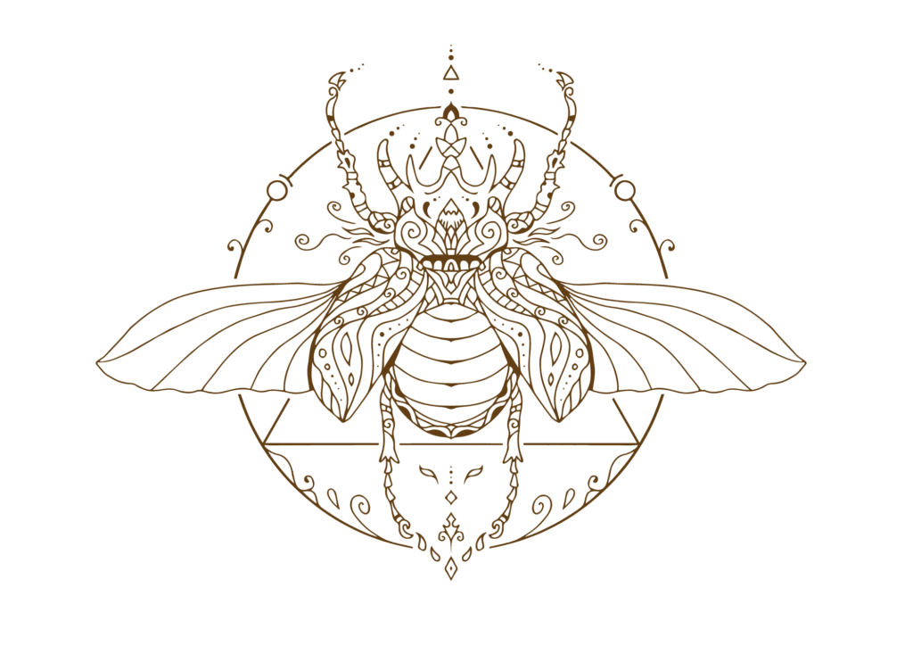 Shamanic Healing Practice / Shannon M Willis / Red Earth Healing