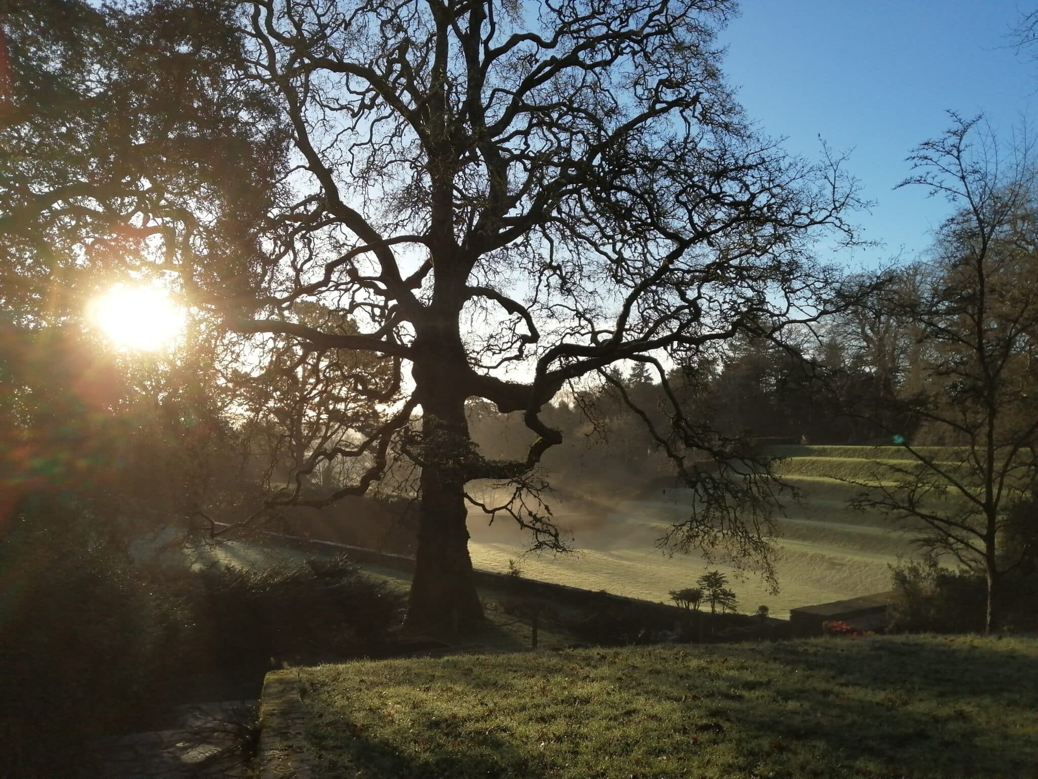 Ancestral Lineage Healing Intensive Totnes, UK Red Earth Healing
