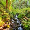 Ancestral Healing Intensive - Union, WA - 2025 - Single Room Supported