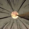 The Dream Hearth: Supported