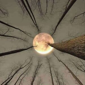 Full Moon Dreaming: Generating