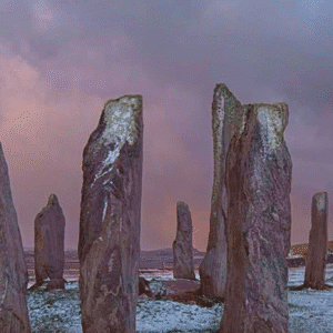 Ancestor Circle: Generating