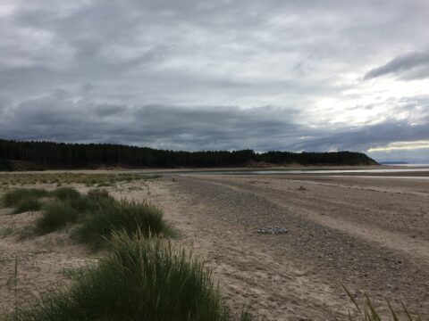 findhorn reh 4