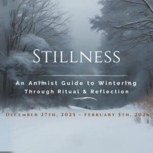 Stillness: Generating-2026