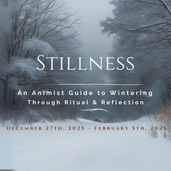Stillness: Supported-2026
