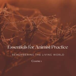 Essentials for Animist Practice - Remembering The Living World: Sustaining