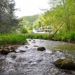 Ancestral Lineage Healing Intensive – Asheville, NC – March2026: Generating