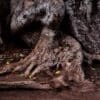 Rooted in Ritual - Sustaining