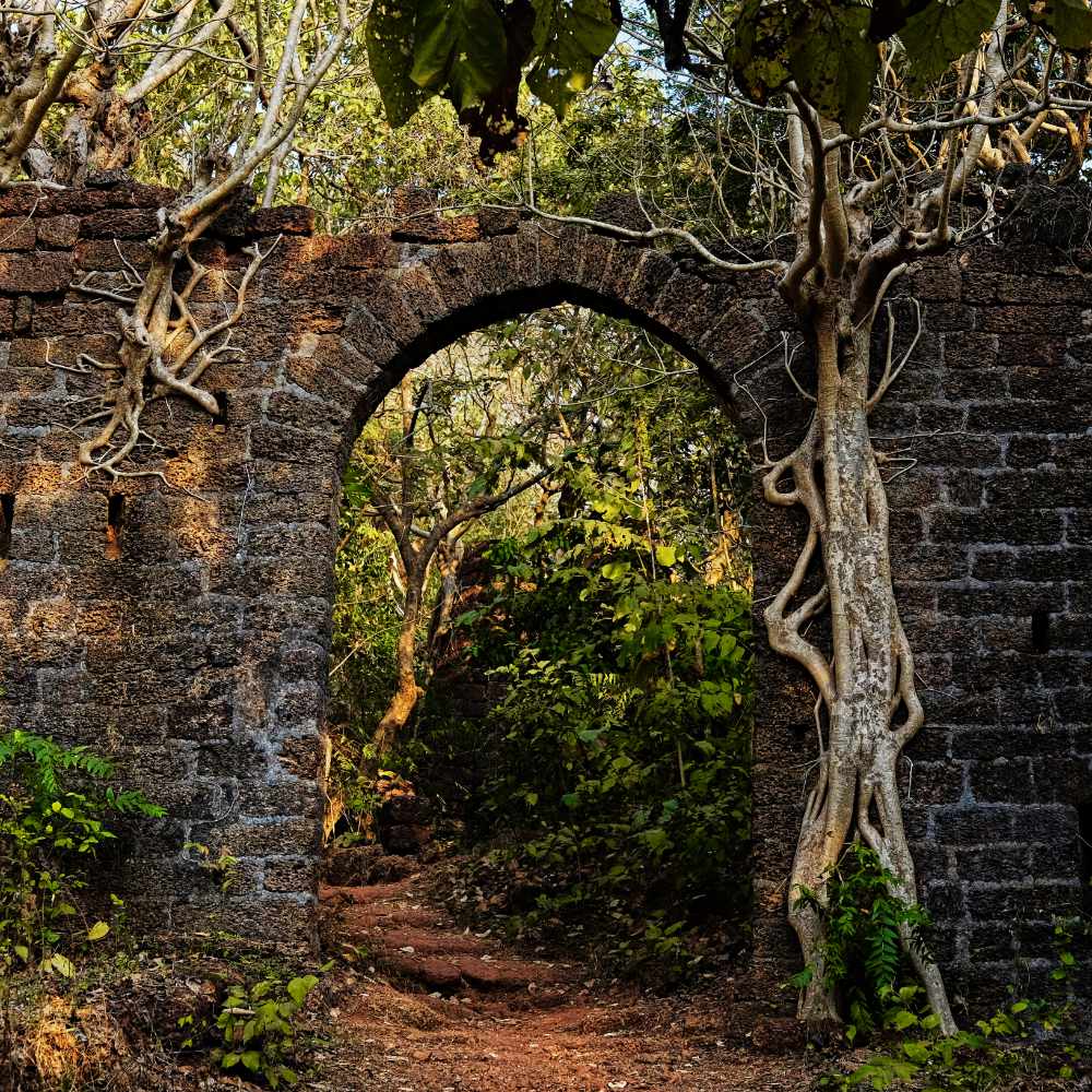 Rooted In Ritual Rooted in Ritual: Foundational Ceremonies for Unraveling Times
